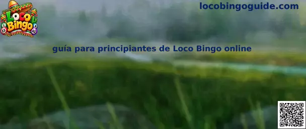 Guía para principiantes de Loco Bingo online
