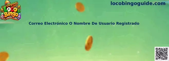 Formulario de inicio de sesión con correo electrónico o nombre de usuario registrado en Loco Bingo
