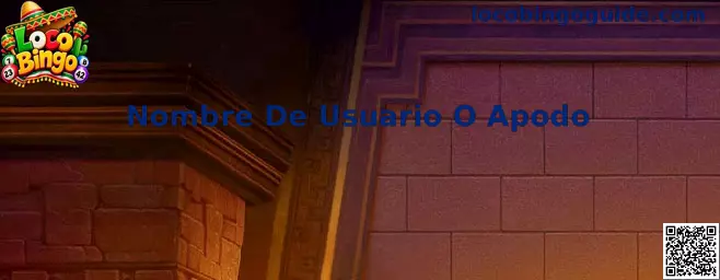 Nombre De Usuario O Apodo en Loco Bingo