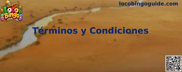 Términos y condiciones de Loco Bingo